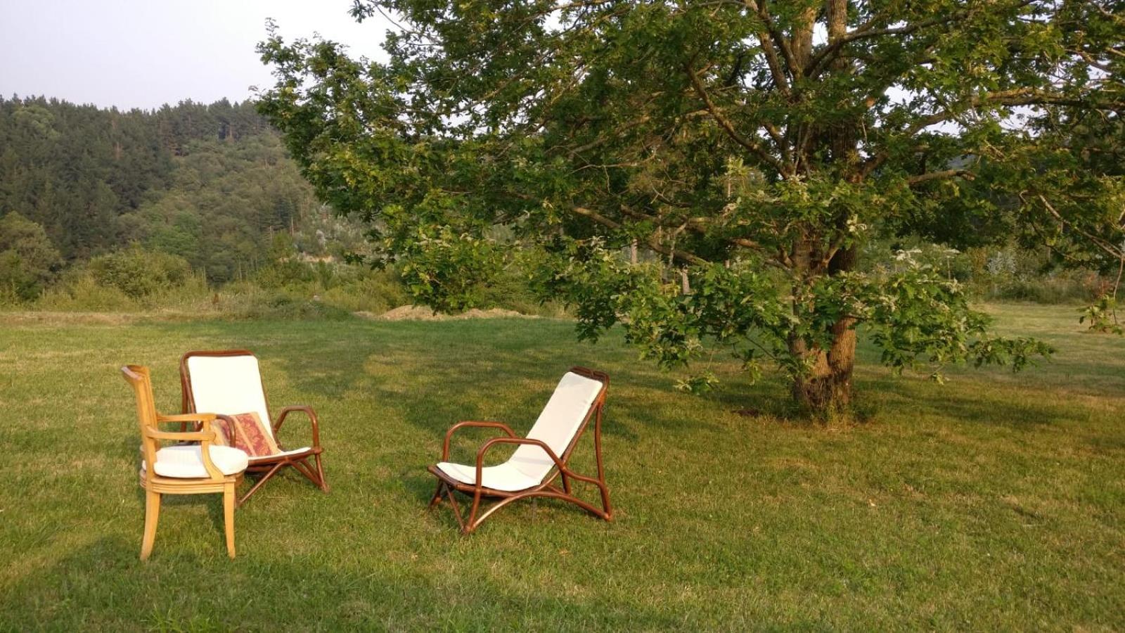 Amplio Apartamento Con Jardin En Casa Rural Haritza Con Vistas Al Mar Ea Exterior foto